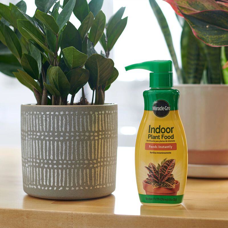 Miracle-Gro® Indoor Potting Mix and Miracle-Gro® Indoor Plant Food image number null